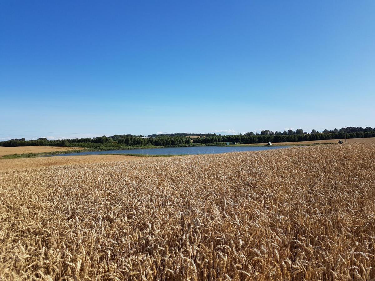 Sterla - Masuria Villa Giżycko Exteriör bild
